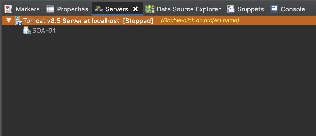 Fig 20. Server view in Eclipse IDE.